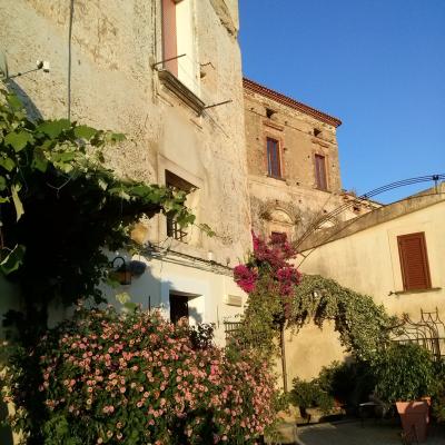 Pisciotta 10
