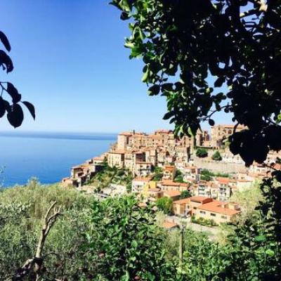 Pisciotta 15