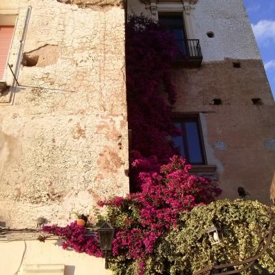 Pisciotta 27