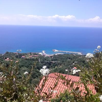 Pisciotta 29