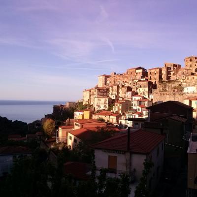 Pisciotta 31 Risultato