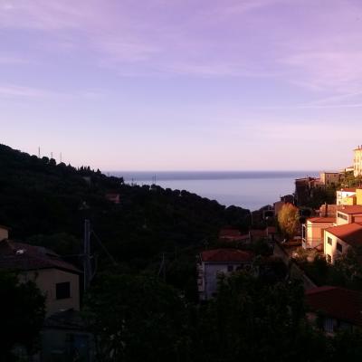 Pisciotta 32