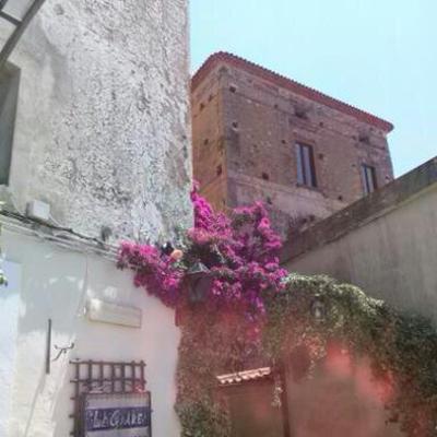 Pisciotta 4 Risultato