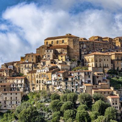 Pisciotta