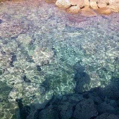 Mare 13