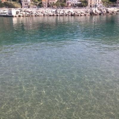 Mare 15