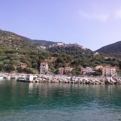 Mare 19