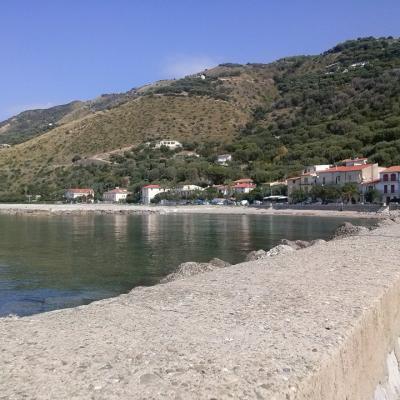 Mare 22