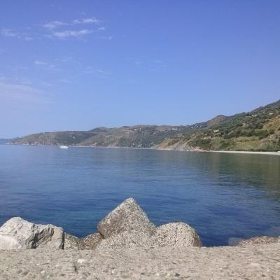 Mare 23