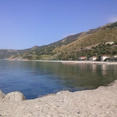 Mare 24