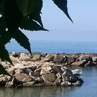 Mare 26