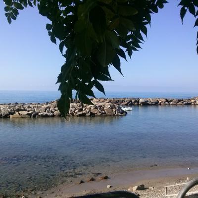 Mare 28