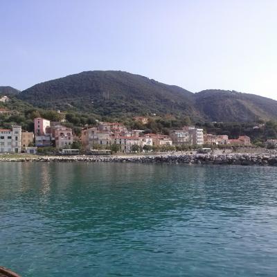 Mare