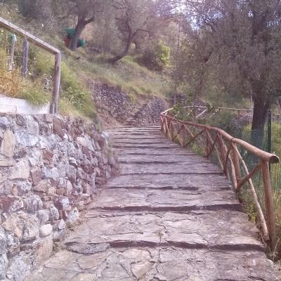 Dintorni 15
