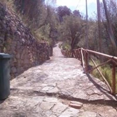 Dintorni 16