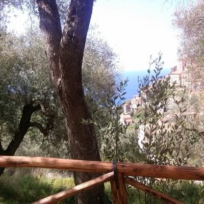 Dintorni 18