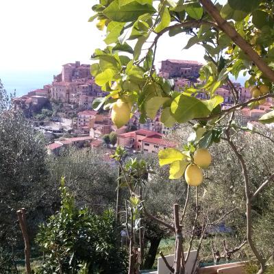 Dintorni 1
