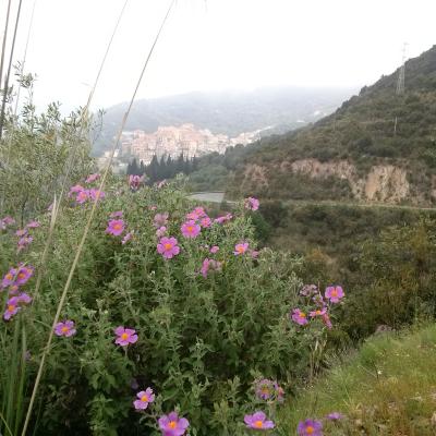 Dintorni 3