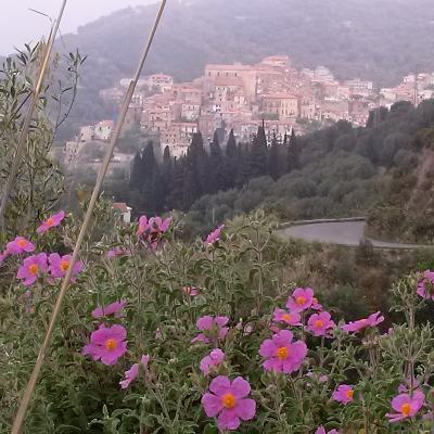 Dintorni 5