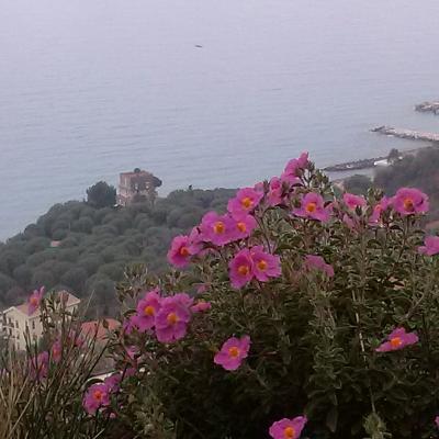 Dintorni 6